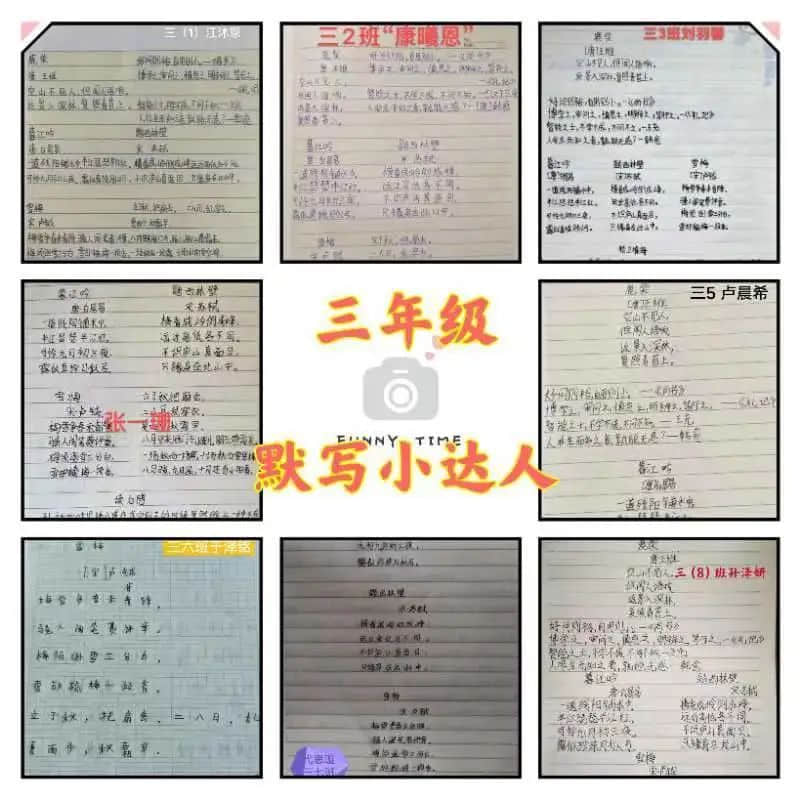 【暑你精彩】閱享踐行，快樂(lè)成長(zhǎng)——私立一中附屬小學(xué)暑期實(shí)踐活動(dòng)展