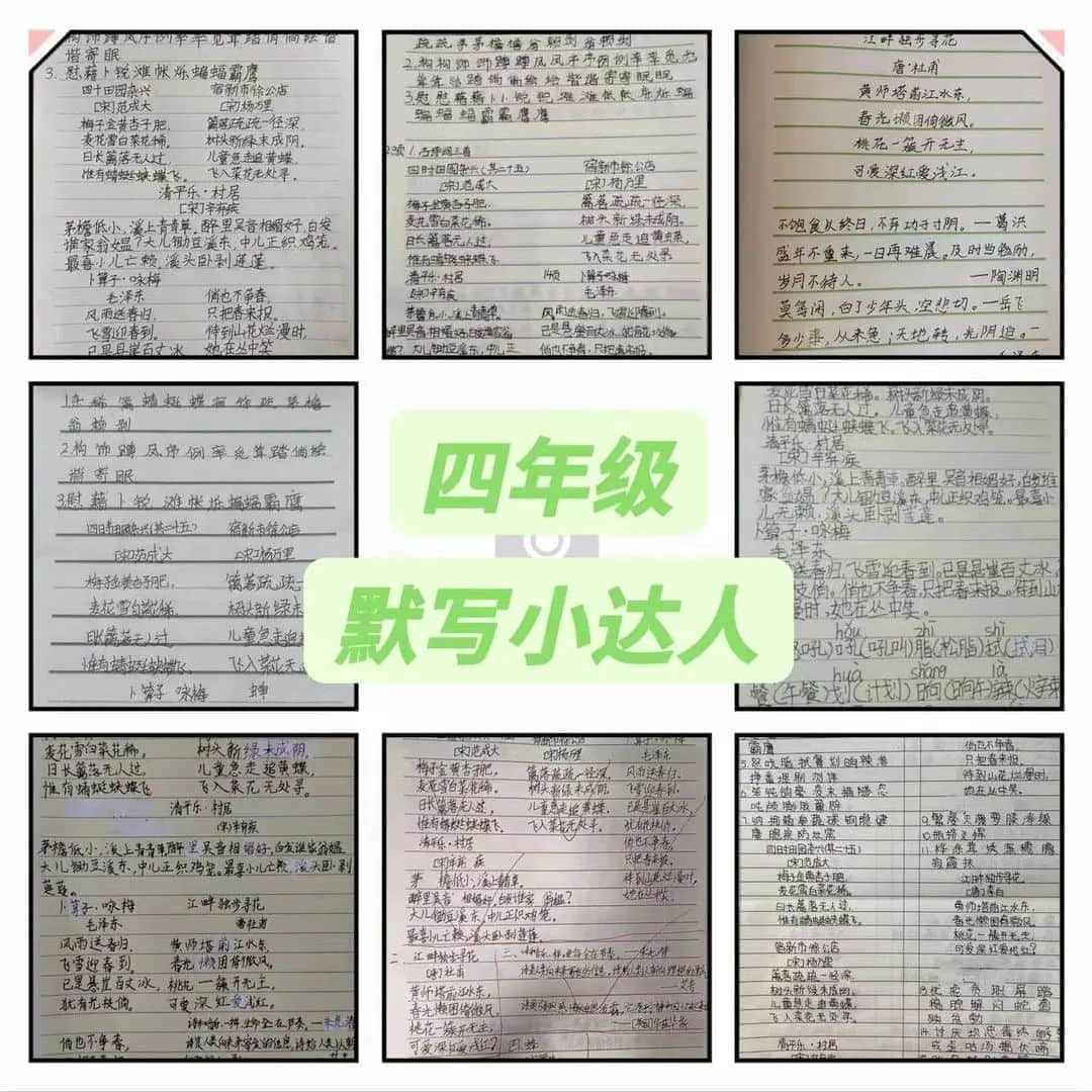 【暑你精彩】閱享踐行，快樂(lè)成長(zhǎng)——私立一中附屬小學(xué)暑期實(shí)踐活動(dòng)展