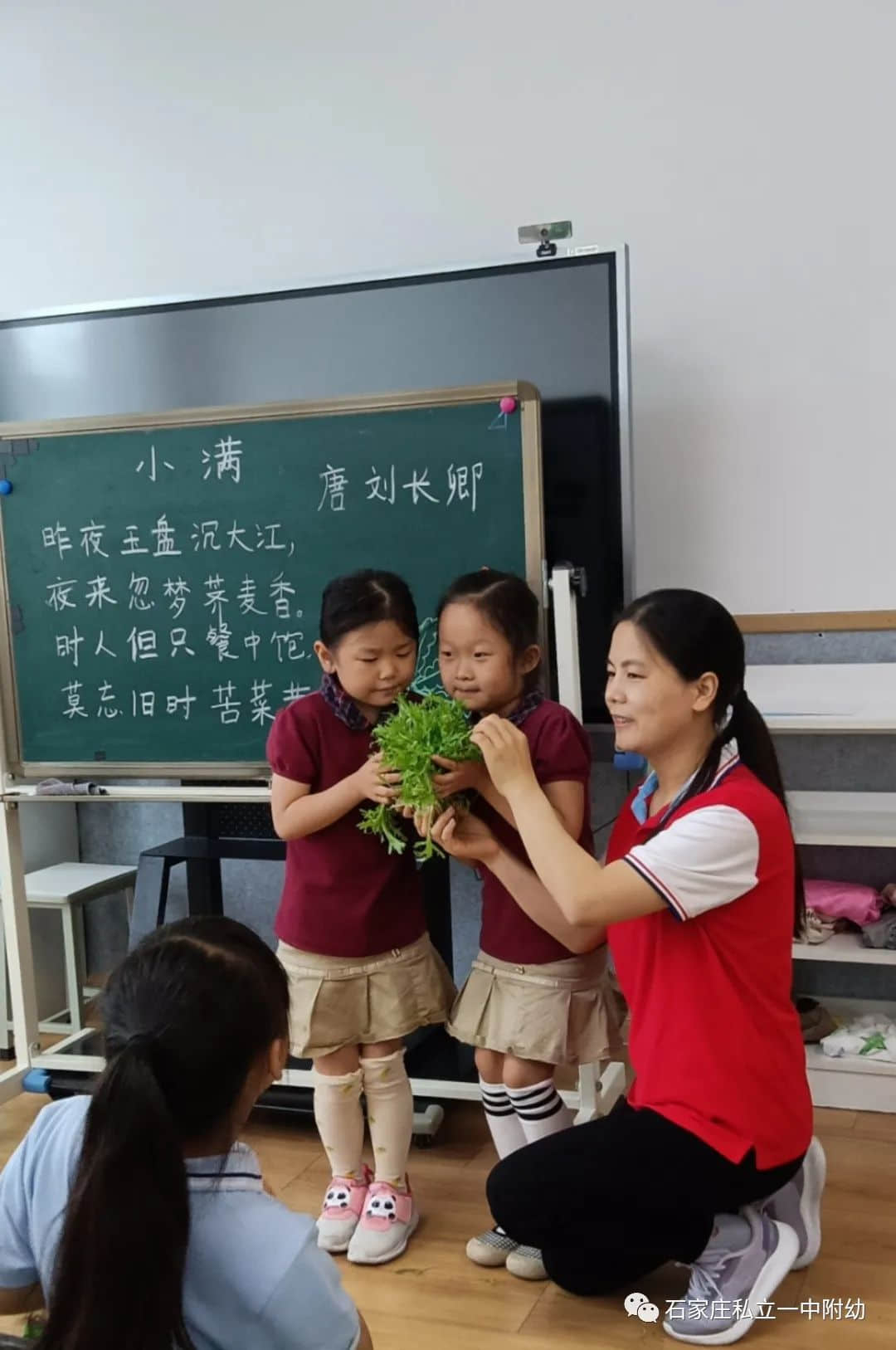 【幼之育】小滿小滿，幸?！坝住泵罎M