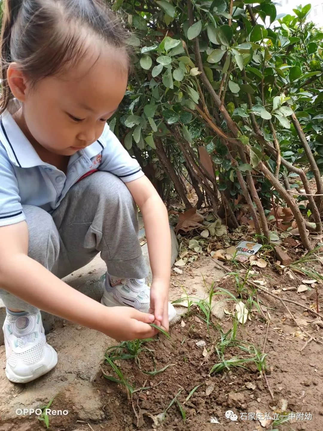 【幼之育】小滿小滿，幸?！坝住泵罎M