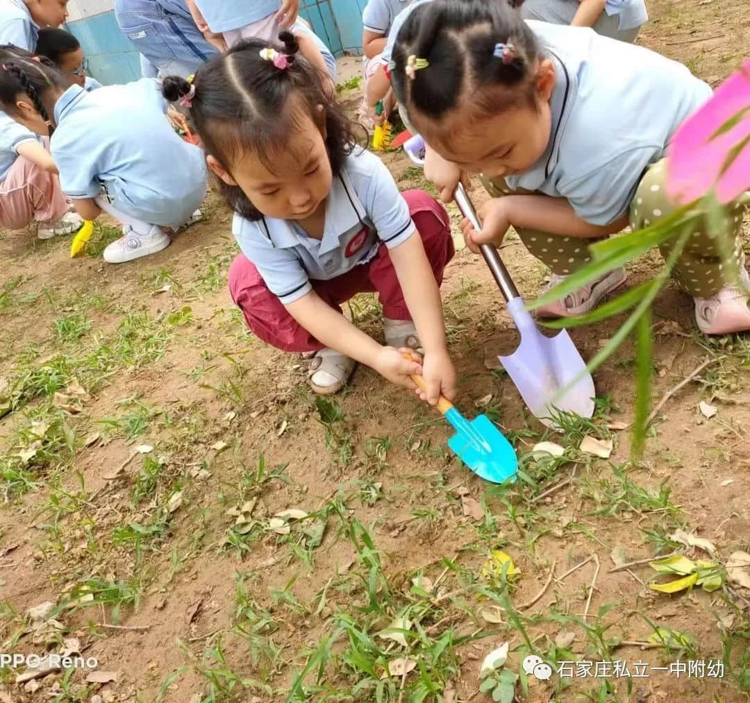 【幼之育】小滿小滿，幸?！坝住泵罎M