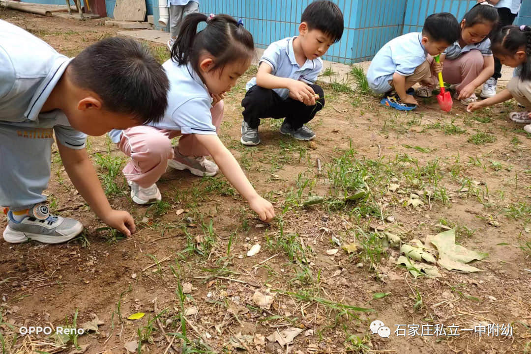 【幼之育】小滿小滿，幸?！坝住泵罎M