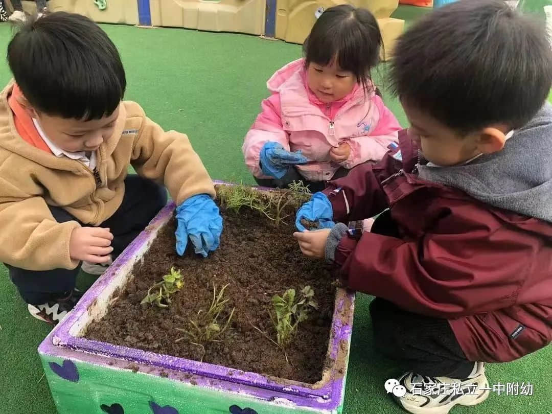 【幼之育】用愛養(yǎng)育 用心教育——石家莊私立第一中學幼兒園