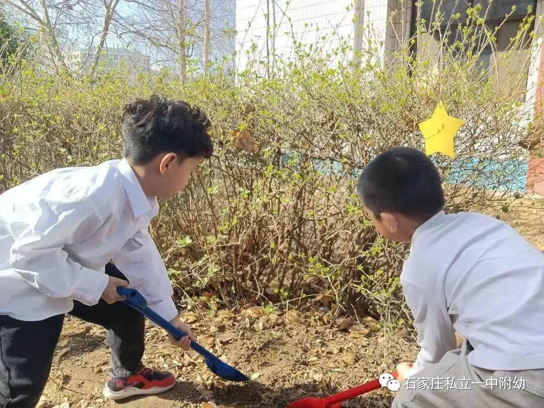 【幼之育】用愛養(yǎng)育 用心教育——石家莊私立第一中學幼兒園