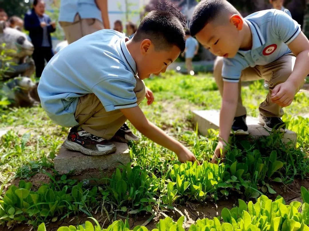 【預(yù)?成長】那些屬于我們的時(shí)光 ——石家莊私立一中附小預(yù)科部時(shí)光故事