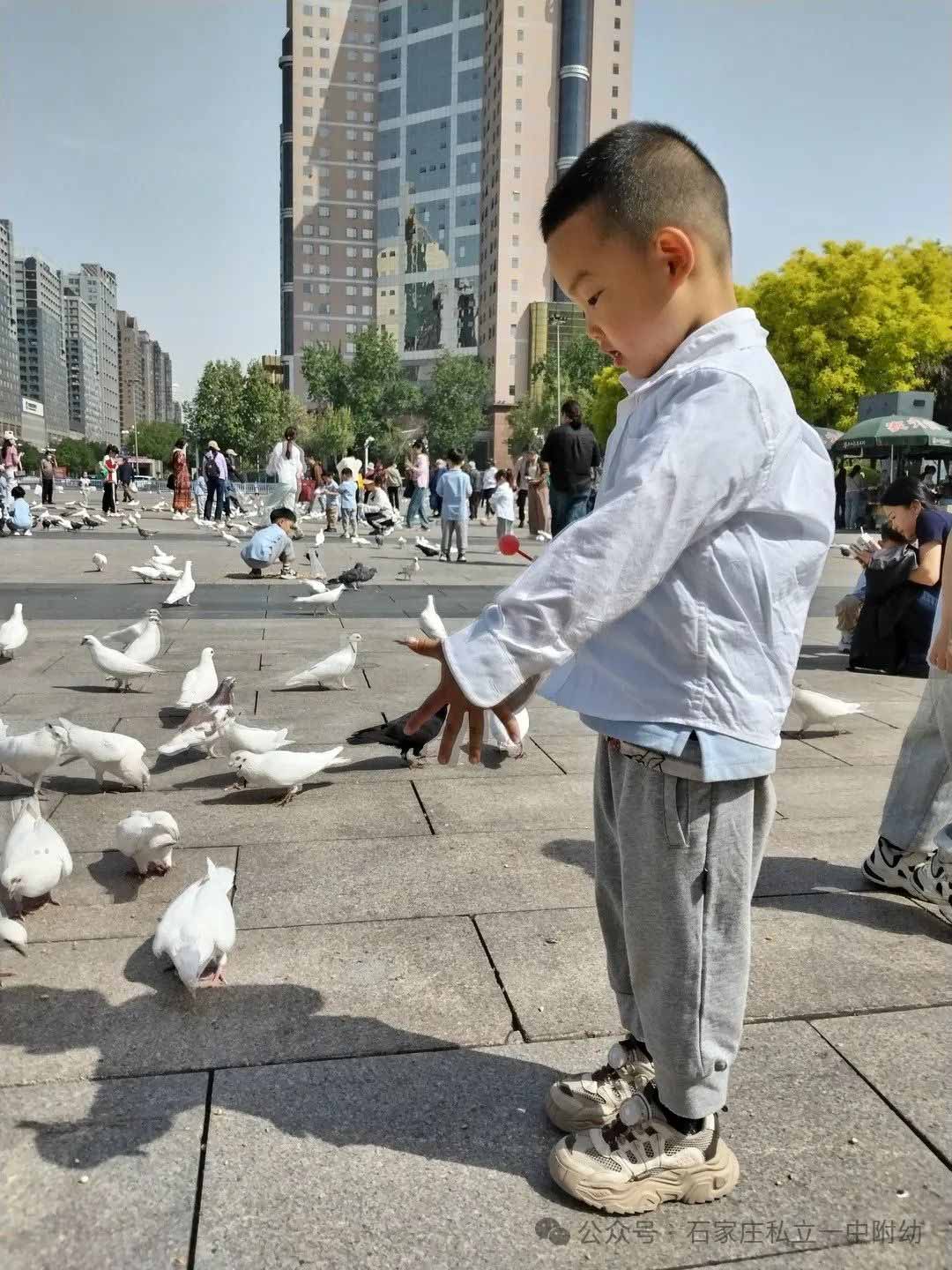 【春游】時(shí)光恰好 “幼趣”春游---幼兒科技館之行