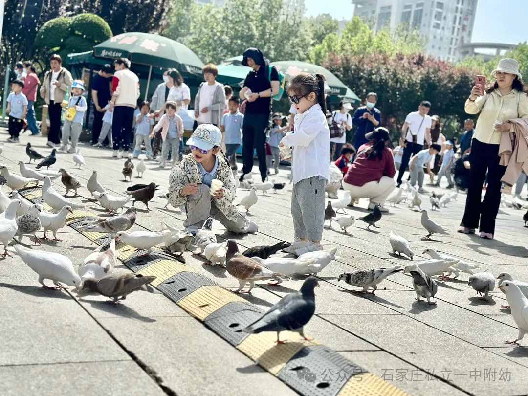 【春游】時(shí)光恰好 “幼趣”春游---幼兒科技館之行