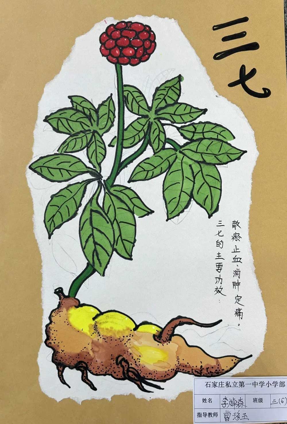 【立小 ? 德育】你看，我們的墻上有什么？讓校園處處都有對話！