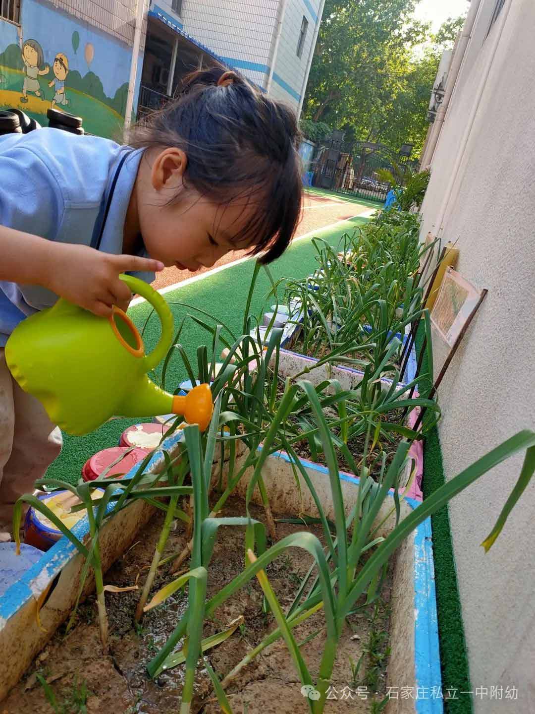 【生命教育】讓生命自然生長讓教育自然發(fā)生