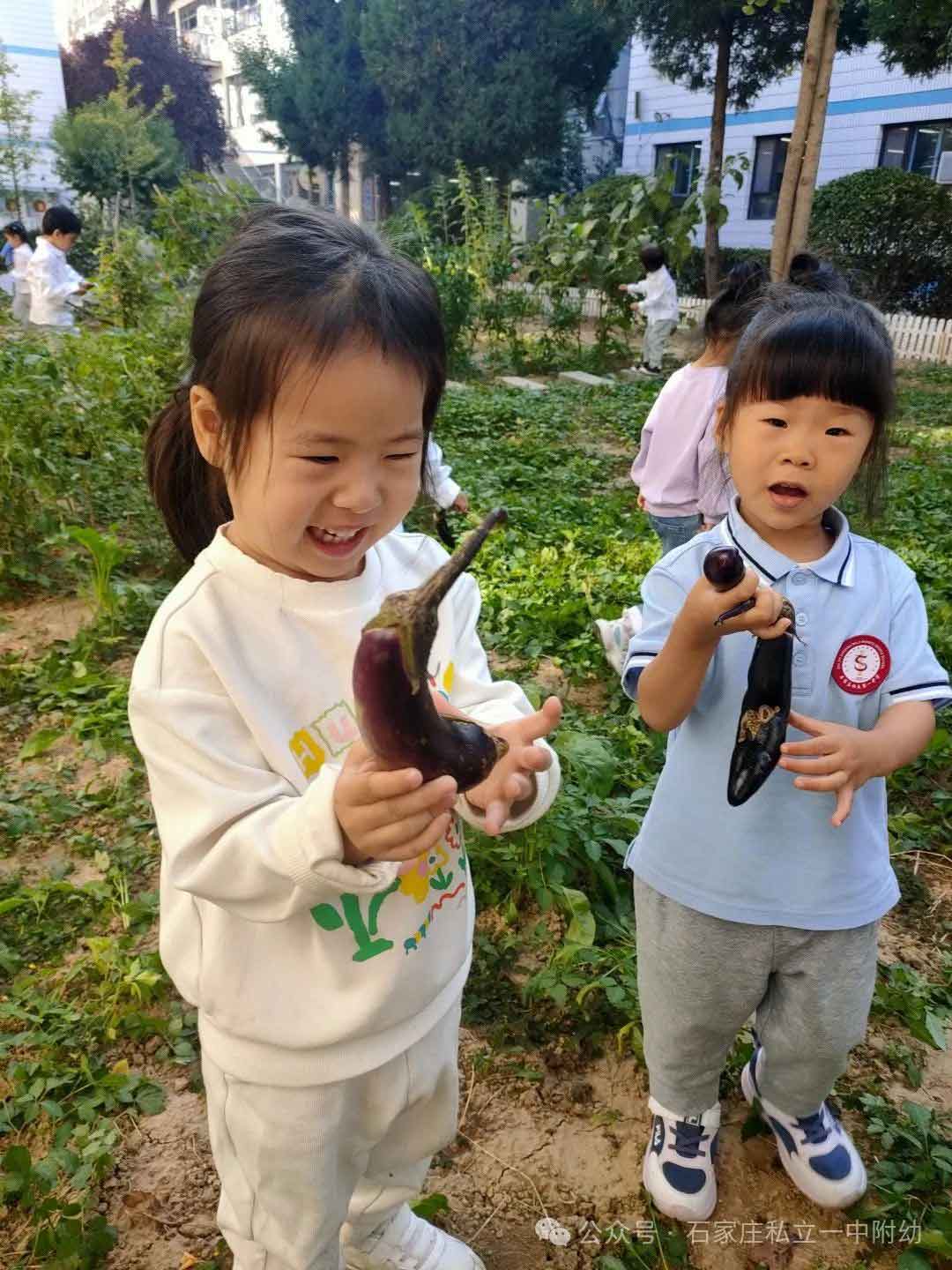 【生命教育】讓生命自然生長讓教育自然發(fā)生